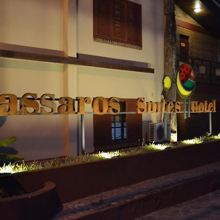 Passaros Suite Hotel Puerto Iguazú Eksteriør billede