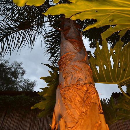 Passaros Suite Hotel Puerto Iguazú Eksteriør billede